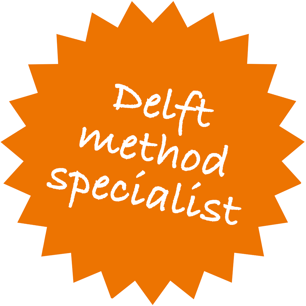 Nedles patch - Delft method specialist